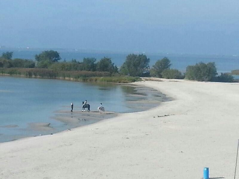 Vakantie Chalet Makkum Zewnętrze zdjęcie
