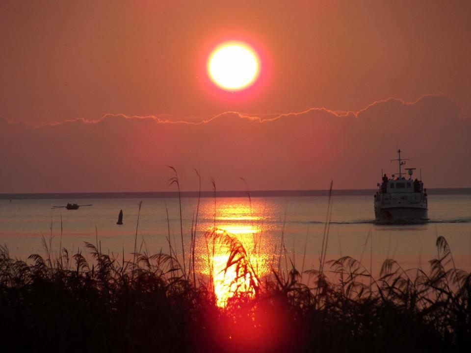 Vakantie Chalet Makkum Zewnętrze zdjęcie